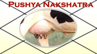 Pushya Nakshatra [upl. by Zat]