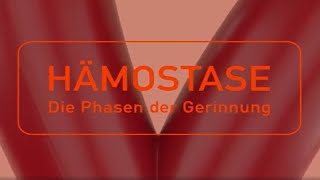 Hämostase – Die Phasen der Gerinnung [upl. by Peder]