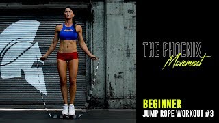 10 Minute Beginner Jump Rope Workout [upl. by Austen519]