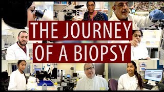 The journey of a biopsy DiscoverPathology [upl. by Asilanna]