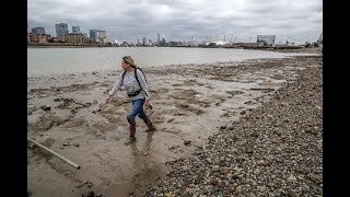 Mudlarking on the River Thames with friends  A Roman Coin amp a 17th century farthing [upl. by Anaujahs657]