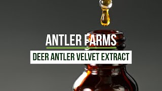 Antler Farms New Zealand Deer Antler Velvet Extract Liquid  Strength Endurance amp Recovery [upl. by Hillhouse837]