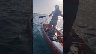 Stand Up Paddle Boarding In The Beach paddle surfing surf funwater borsh beach [upl. by Enyleuqcaj]