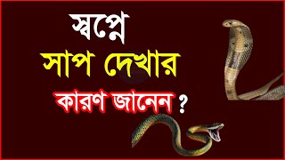 স্বপ্নে সাপ দেখলে কি হয়স্বপ্নে সাপ দেখে কেনsopne sap dekhle ki hoyshopner tabir [upl. by Peyton]