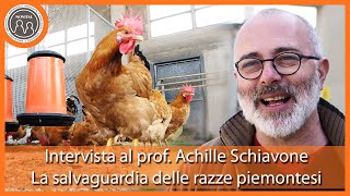 Intervista al prof Achille Schiavone  La salvaguardia delle razze avicole autoctone piemontesi [upl. by Tye]