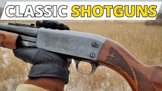 These 5 CLASSIC Shotguns EVERYONE Should Own [upl. by Yaya269]