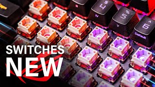 These New ROG Switches Change EVERYTHING [upl. by Epilihp668]