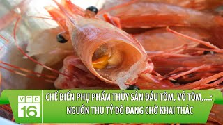 Chế biến phụ phẩm thủy sản đầu tôm vỏ tôm Nguồn thu tỷ đô đang chờ khai thác  VTC16 [upl. by Geof]