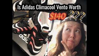 Adidas Climacool Vento Sneaker Review Is Really worth 140 [upl. by Beyer]