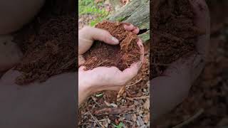 Making a fire log with natural materials 🔥 [upl. by Raffaj]