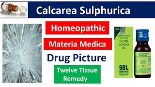 Calcarea Sulphurica Homeopathic Medicine Drug PictureMateria Medica bhms materiamedica calcarea [upl. by Nerual]