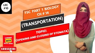 Ch14 Transportation  Lec 10  OPENING AND CLOSING OF STOMATA FSc Bio part 1riffatjahan [upl. by Aneema]