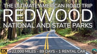 Part 13  22000 Mile USA Road Trip  Redwood National and State Parks  Two Brits Travel The USA 🇺🇸 [upl. by Icam]