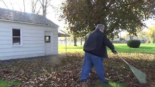 Raking Autumn Leaves [upl. by Ativ17]