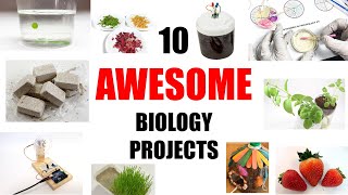 10 Awesome Biology Science Projects [upl. by Ydnarb202]