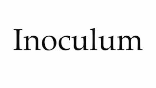 How to Pronounce Inoculum [upl. by Terag]