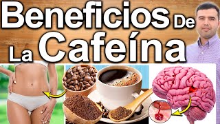 Beneficios Y Propiedades De La Cafeína Para La Salud  Mejores Usos Y Efectos De La Cafeína [upl. by Pillow]