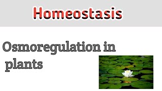 Osmoregulation in plants  Homeostasis [upl. by Jervis431]