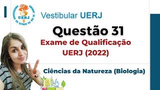 UERJ 2022  O circuito abaixo representa uma instalação elétrica sendo a corrente registrada no [upl. by Oruam159]