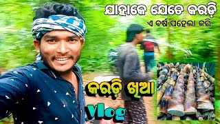 ଯାହାକେ ଯେତେ କରଡ଼ି ଏ ବର୍ଷ ପହେଲା କରିକରଡ଼ି ଖିଆ Vlog Bal Rin Vlog vlog viralvideo trending [upl. by Ecerehs391]