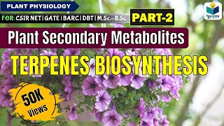 PLANTS SECONDARY METABOLITES PART2 TERPENES BIOSYNTHESIS CSIR NET [upl. by Aicilev]