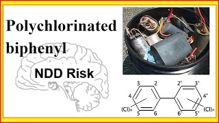 polychlorinated biphenyl [upl. by Naie]