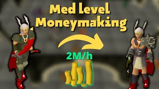 Money Making for Med Levels 10 Methods  OSRS [upl. by Ishmul]