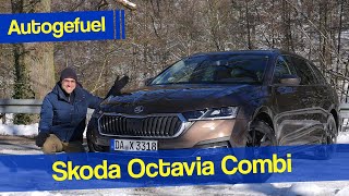 2024 Skoda Octavia facelift Official Reveal  FIRST LOOK [upl. by Yrolg]