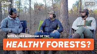 Are Ozark Forests Healthy w Roger Mangham  Ep 107  The Ozark Podcast [upl. by Kathleen]