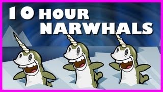 Narwhals  10 Hours [upl. by Wons]