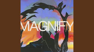 Magnify [upl. by Hailed]