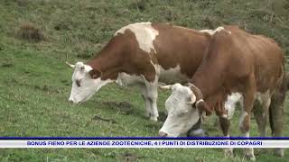 BONUS FIENO PER LE AZIENDE ZOOTECNICHE 4 I PUNTI DI DISTRIBUZIONE DI COPAGRI [upl. by Lalla]