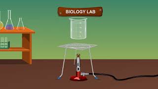 TO STUDY THE POLLEN TUBE GROWTH IN STIGMA [upl. by Nigen]