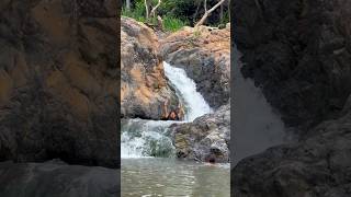 Así es el hermoso BALNEARIO El Mamey en Mecatán nayarit mx viralshort hechoennayarit viral [upl. by Deppy]