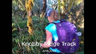 Knobby Ridge Track  June 2024 [upl. by Ecirtael]