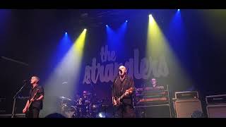 The Stranglers  Hanging Around live  Montpellier FR [upl. by Kcorb]