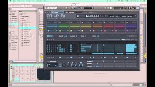 NI Polyplex with Ableton Push [upl. by Bellanca896]