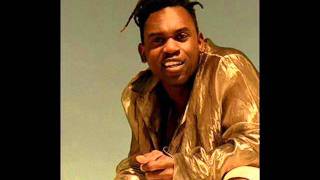 Dr Alban  reggae gone ragga [upl. by Sew]