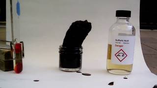 SULFURIC ACID VS SUGAR [upl. by Ahsikym]