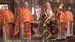 Orthodox Christmas Liturgy [upl. by Eimrots]