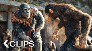 Complete PLANET OF THE APES Timeline Recap [upl. by Attenehs]