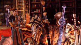 Lets Play Dragon Age Hexenjagd 003 Deutsch HD  Die Bibliothek der Magi [upl. by Eninej]