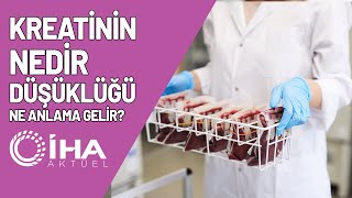 Kreatinin Nedir Düşüklüğü Ne Anlama Gelir [upl. by Oterol]