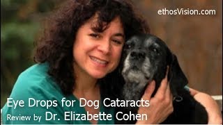 Dog Cataract Eye Drops Review by Dr Elizabette Cohen  Video [upl. by Tad776]