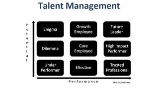 Unveiling the performance and potential matrix  quot9 Boxquot  Webinar  SoftExpert [upl. by Mehala]