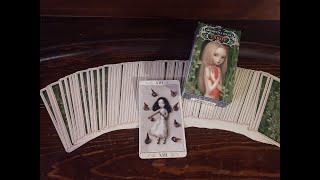 Daily Tarot  Nicoletta Ceccoli Dolls Deck  Death [upl. by Nomolos]