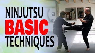 NINJUTSU BASIC TECHNIQUES [upl. by Yesrej]