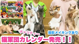 【全額寄付】我が家の猫軍団のチャリティーカレンダーを発売します！！📆✨【撮影メイキング公開】 [upl. by Odlo]