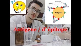 antigène épitope cour dimmunologie 5 [upl. by Buehrer]