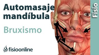 Automasaje de la mandíbula y musculatura de la masticación para bruxismo [upl. by Vezza768]